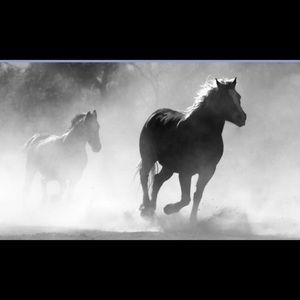 Meet your Posher, Shirley